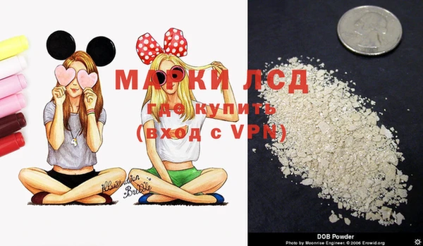 spice Балахна