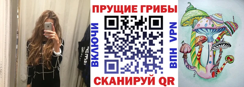 Псилоцибиновые грибы ЛСД  купить наркотик  Торжок 